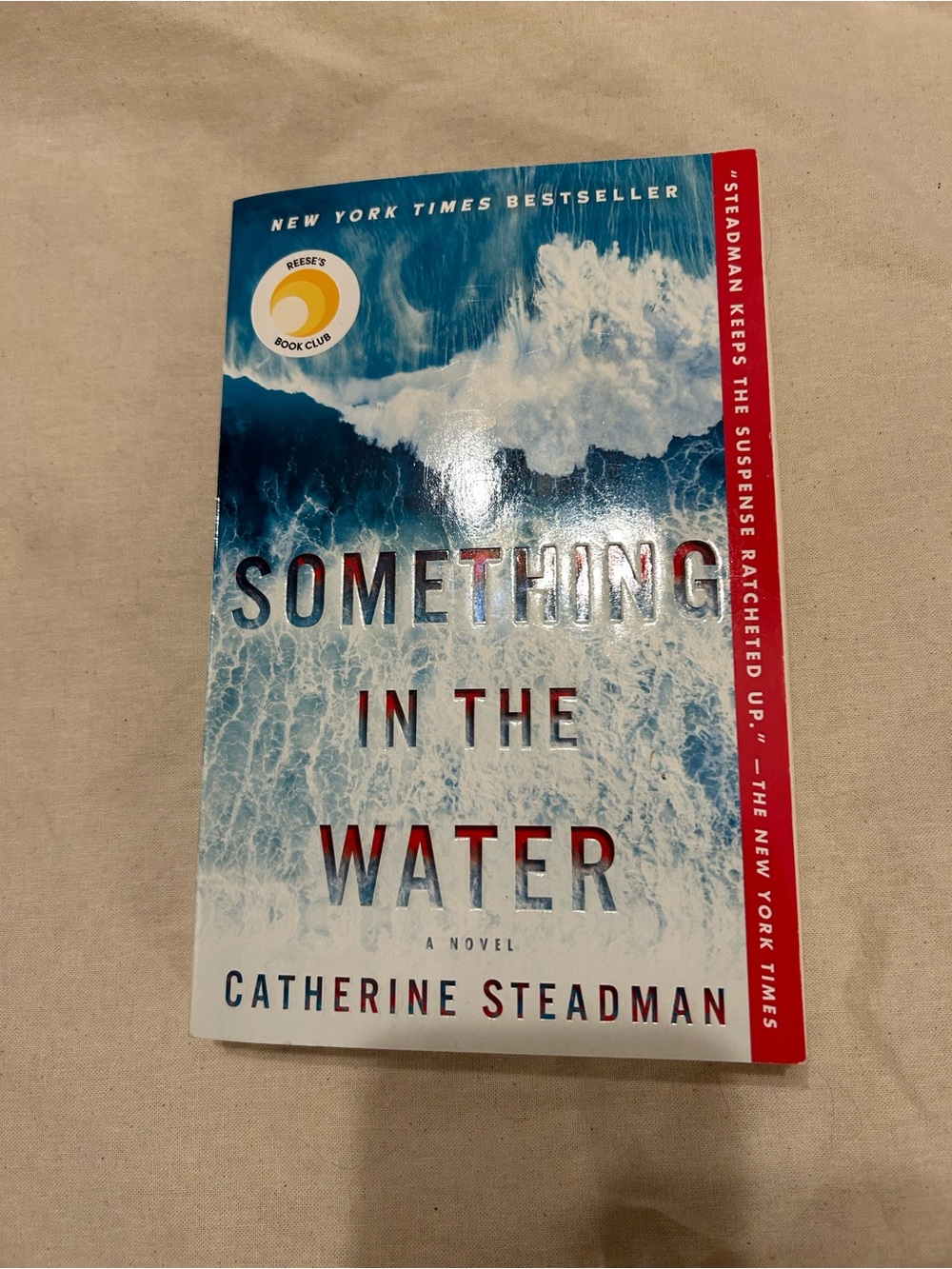 Something in the Water by Catherine Steadman - Blue & White Paperback